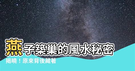 燕子築巢風水|【燕子築巢意義】燕子築巢洞悉界？揭秘牠們巢址的3大關鍵